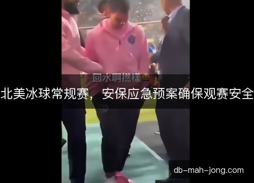 北美冰球常规赛，安保应急预案确保观赛安全