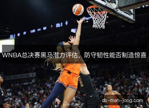 WNBA总决赛黑马潜力评估，防守韧性能否制造惊喜